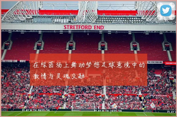 在绿茵场上舞动梦想足球意境中的激情与灵魂交融