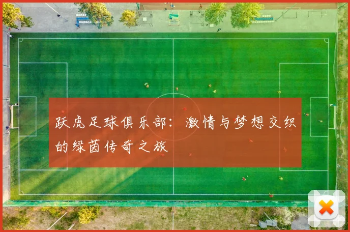 跃虎足球俱乐部：激情与梦想交织的绿茵传奇之旅
