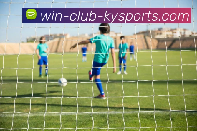 开云平台生态图